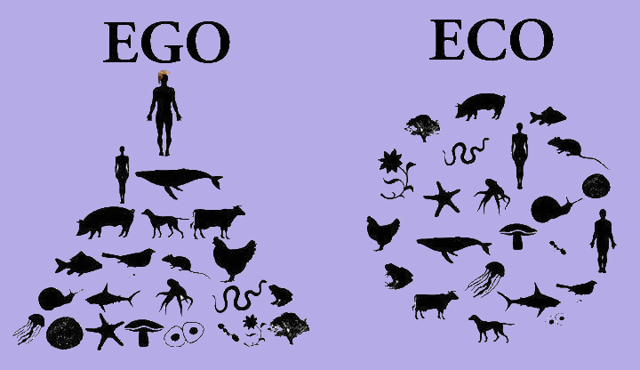 Ego cycle and Ecocycle