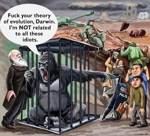 Gorilla rejects evolution theory | Evolution cartoon